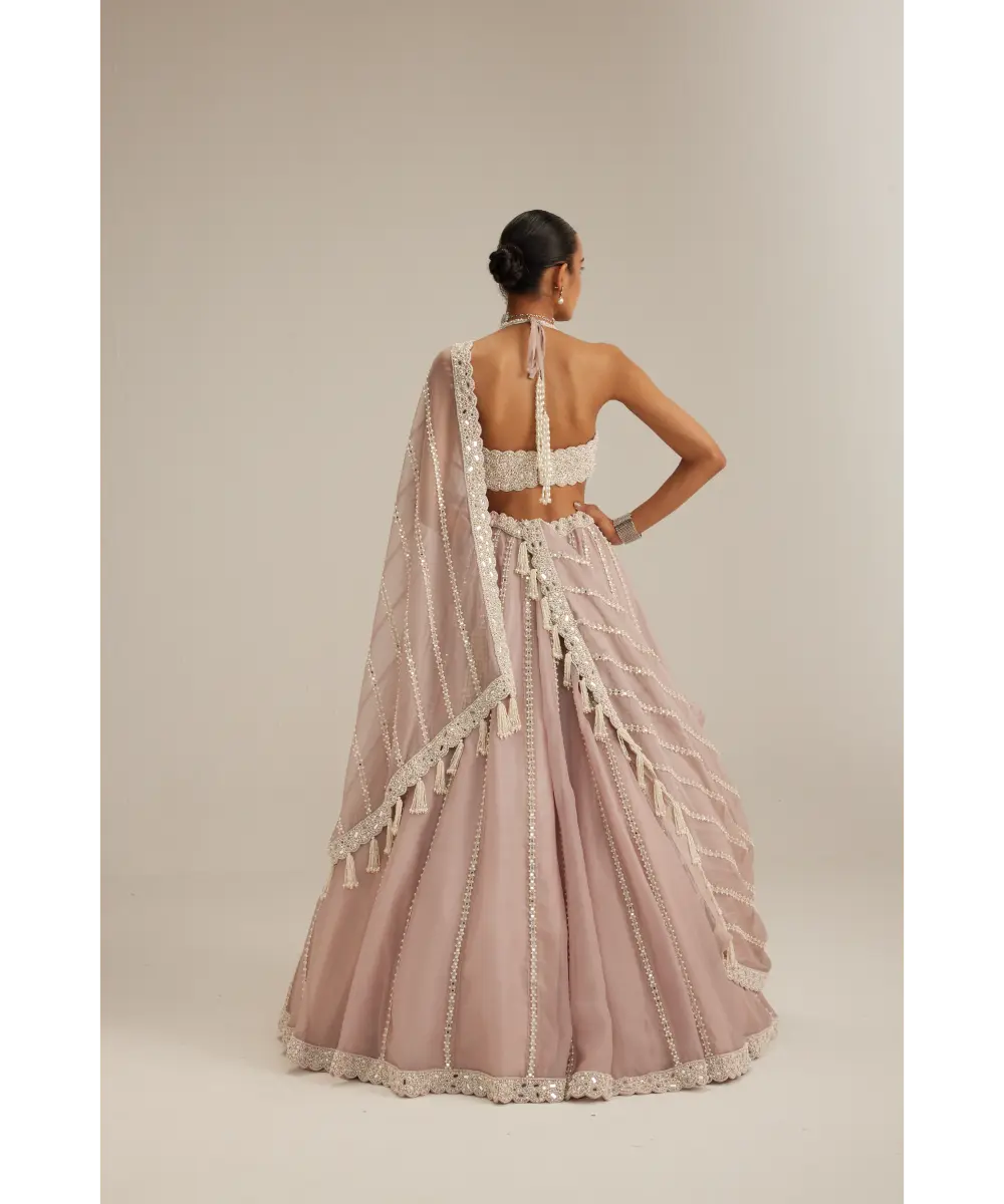 VVANI VATS- Ash Pink linear embroidered Organza Lehenga Set